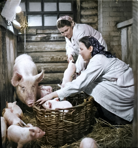 ��������: �������� ���������