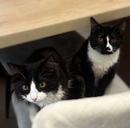 �������������� ������ ������� � ����� ���� ��� !