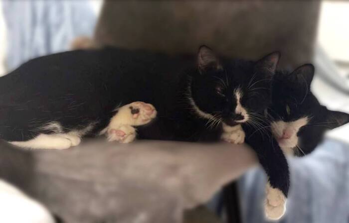 �������������� ������ ������� � ����� ���� ��� !