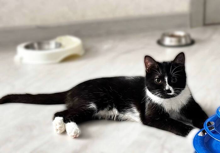 �������������� ������ ������� � ����� ���� ��� !