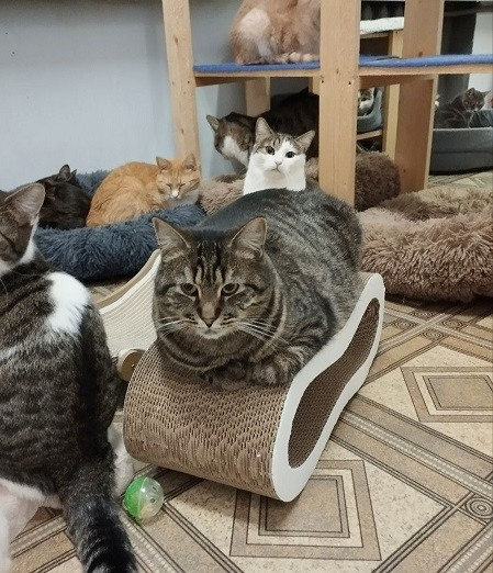 ���� � ������