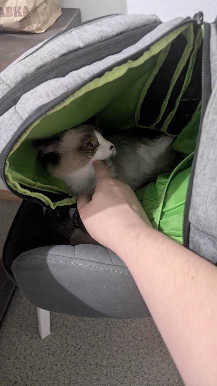 ���� 2025 ����, �� ��� ������