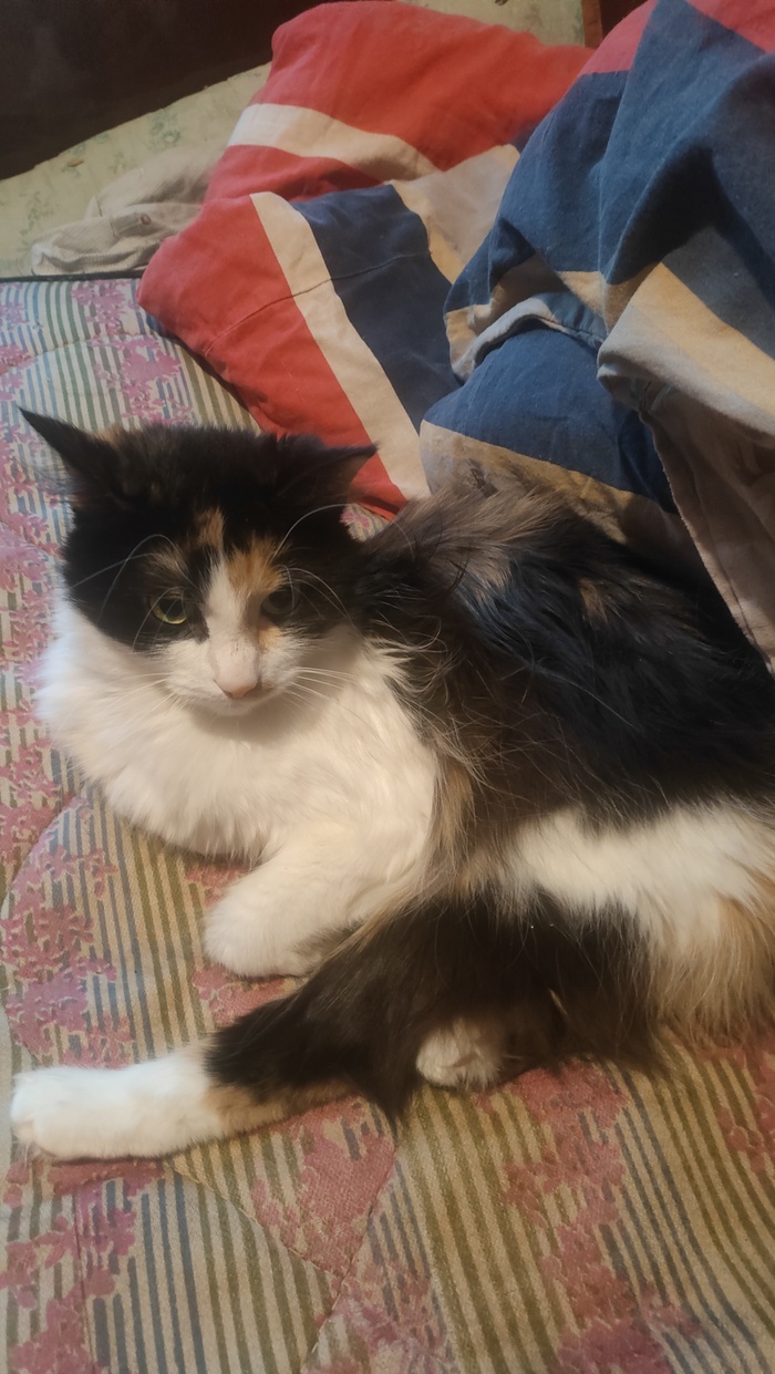 ��� ���. ��� �����!