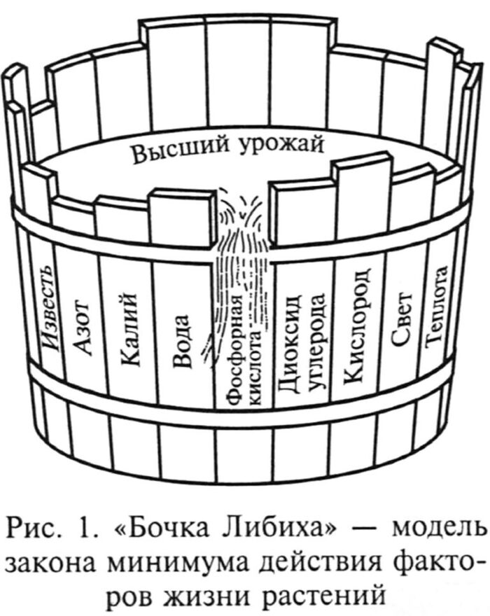 ����� ������ � �����������