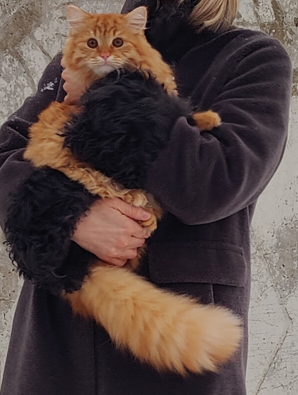 ������ ����� �� 100 ������, ����� ��� � �����