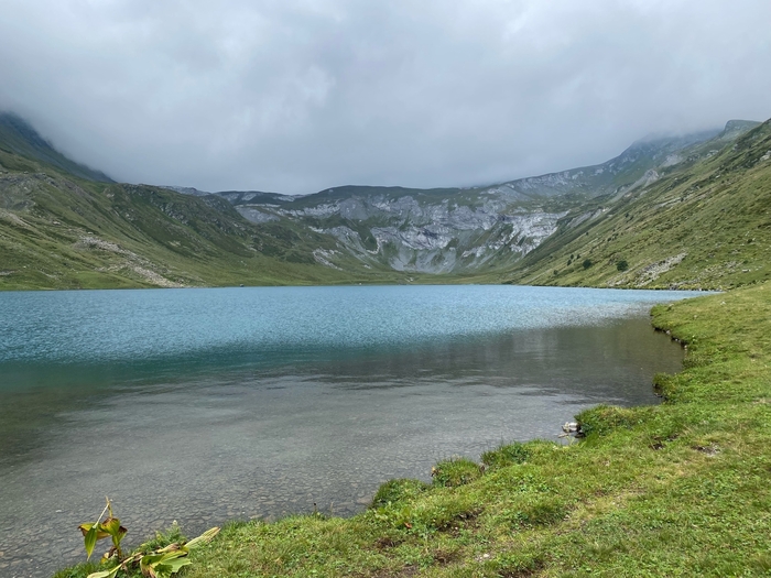 ����� �����