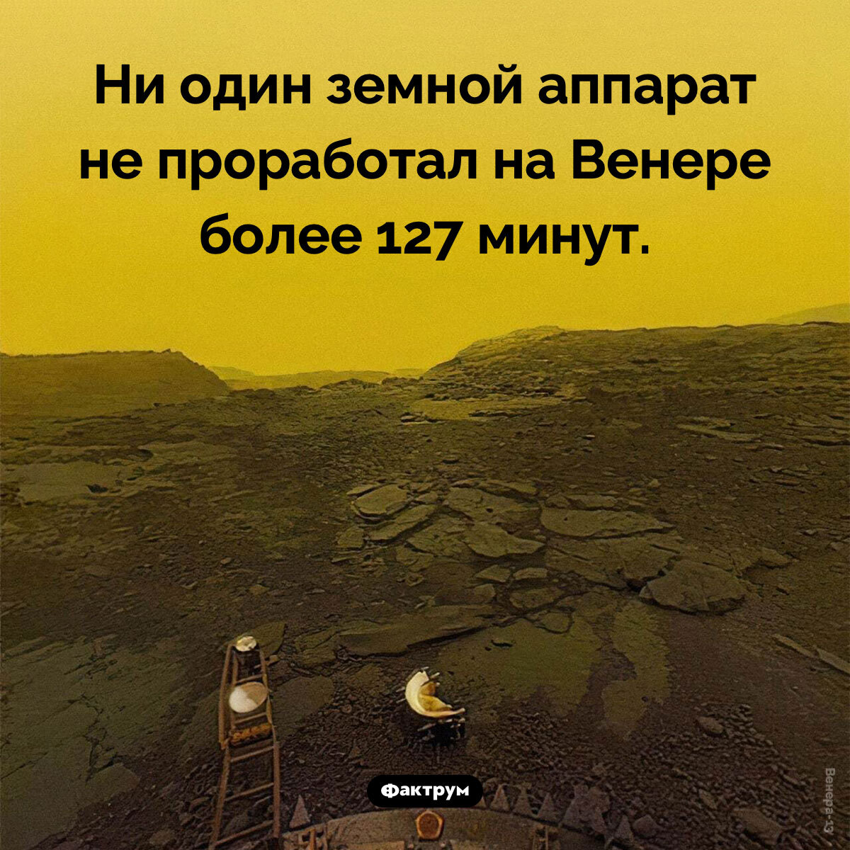 Подборка интересных фактов № 229 - Моё, Картинка с текстом, Познавательно, Подборка, Факты, Фактрум, Хочу все знать