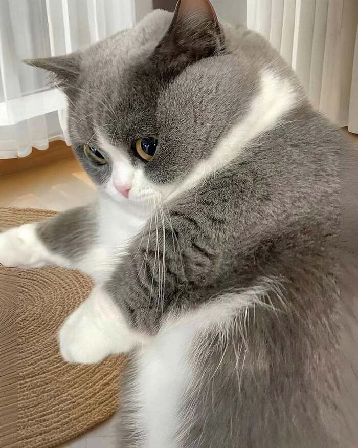 ��������� ��������