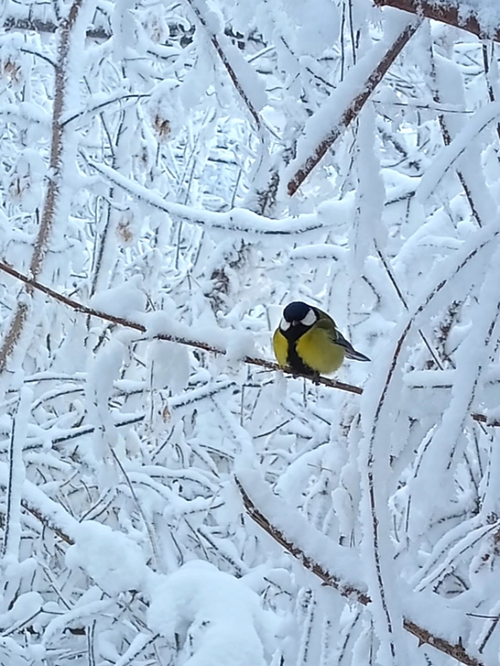 ����� ��� ���� ������ ���...