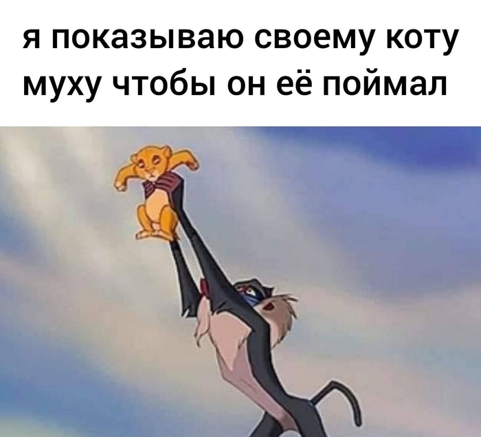 КАК МУХОВ ЗИМОВАЛ