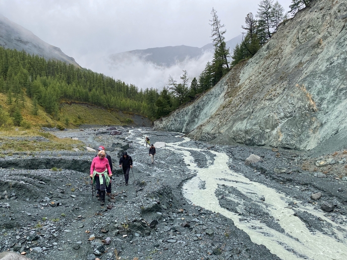 ���� ����