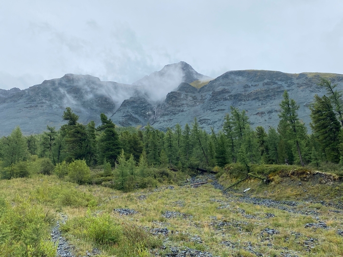 ������ ����