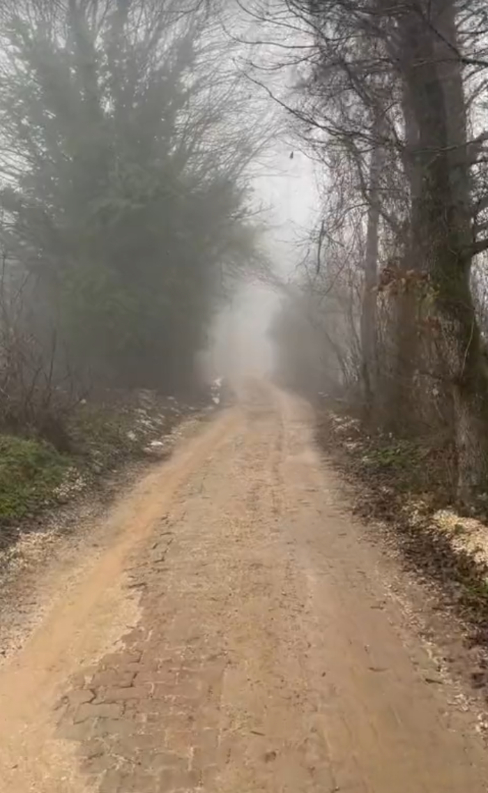 24 Января 2026