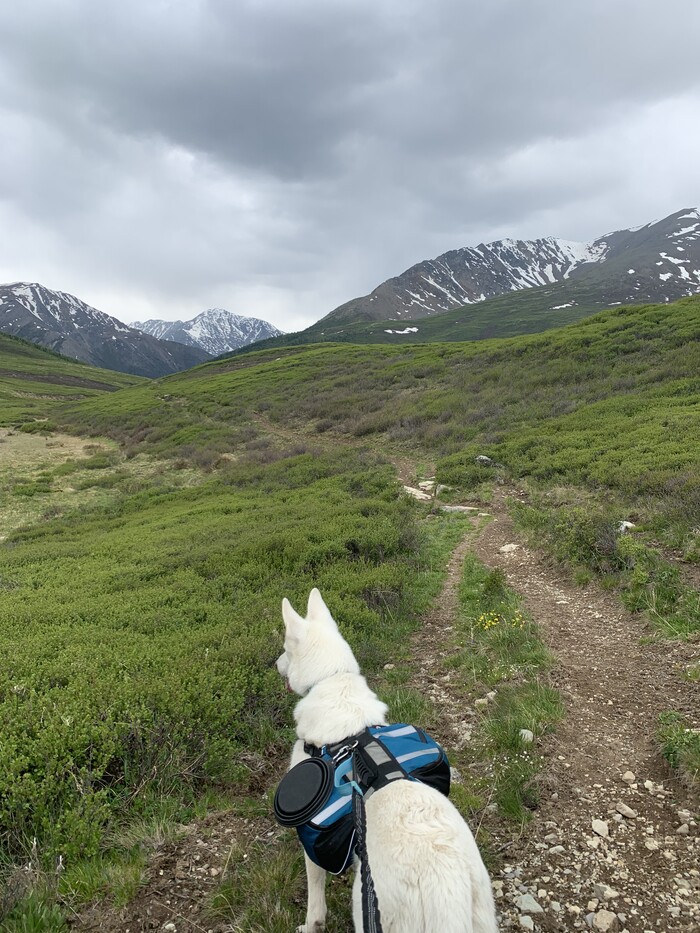 ������ ����� � ��������