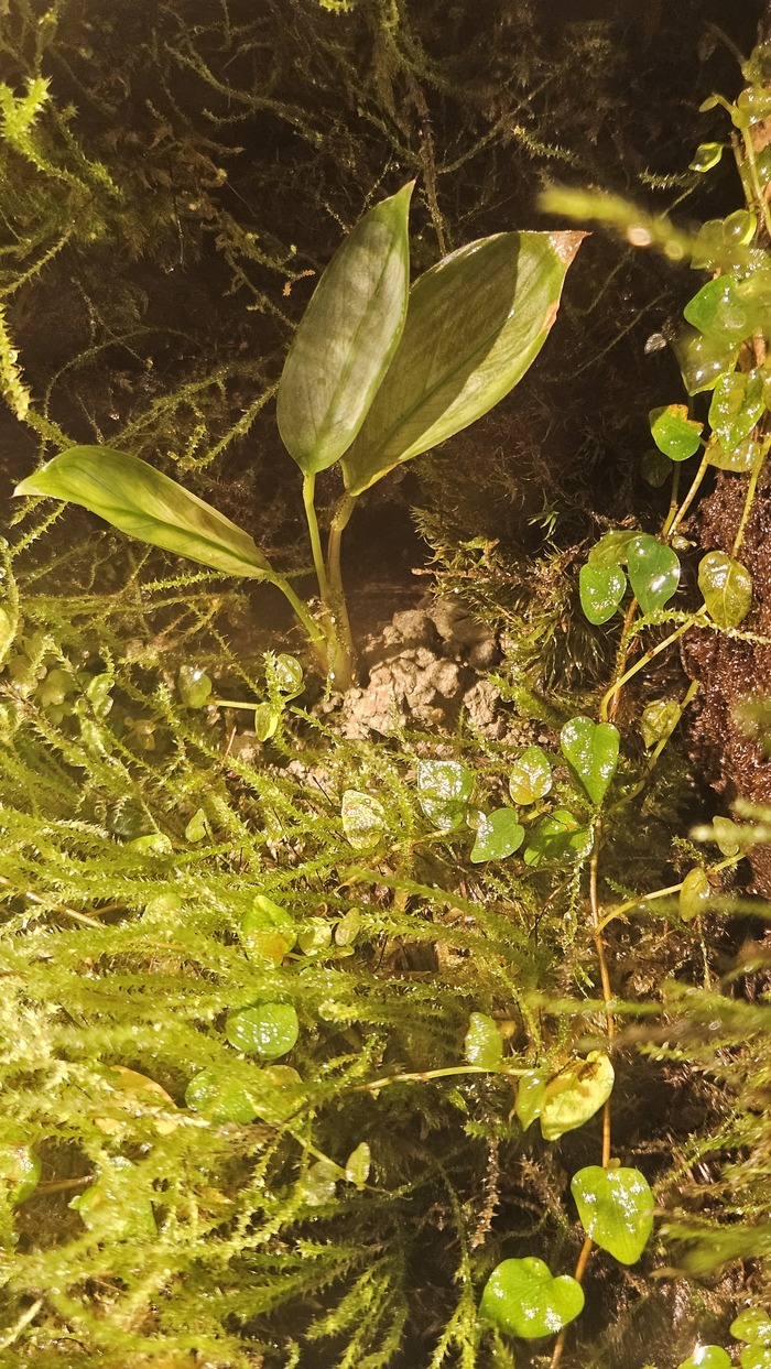 ����� ��� ���������. �� �� ����, ��� �� ����� ��������.