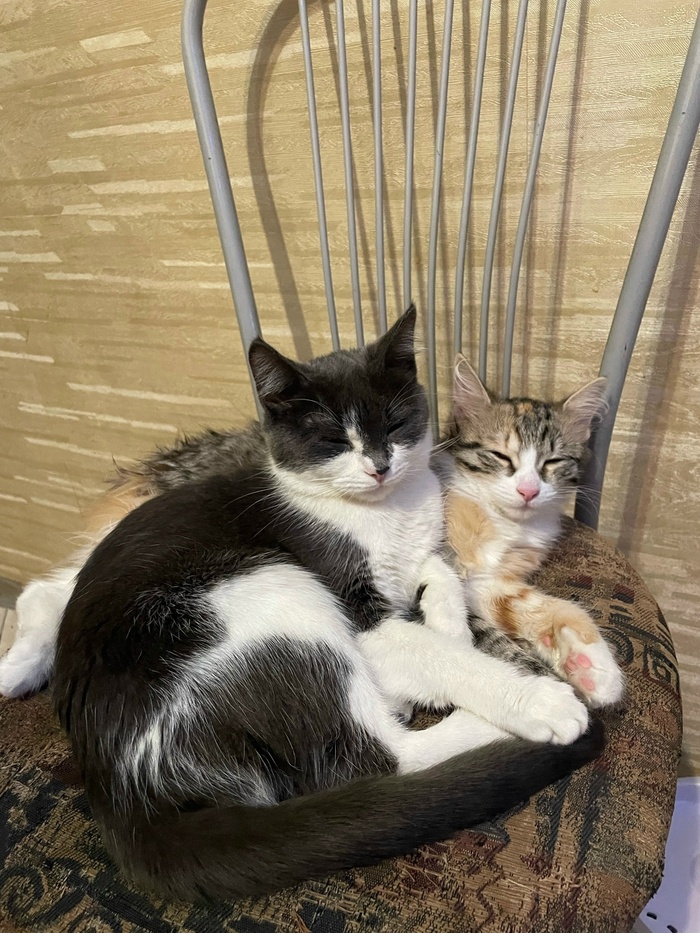 �� � ���� � ���