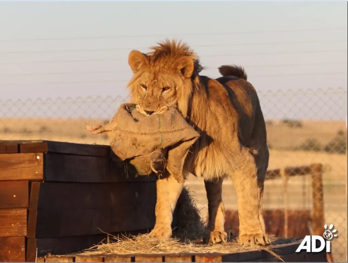 ����� ��� ����, ����������� ������� ����������.