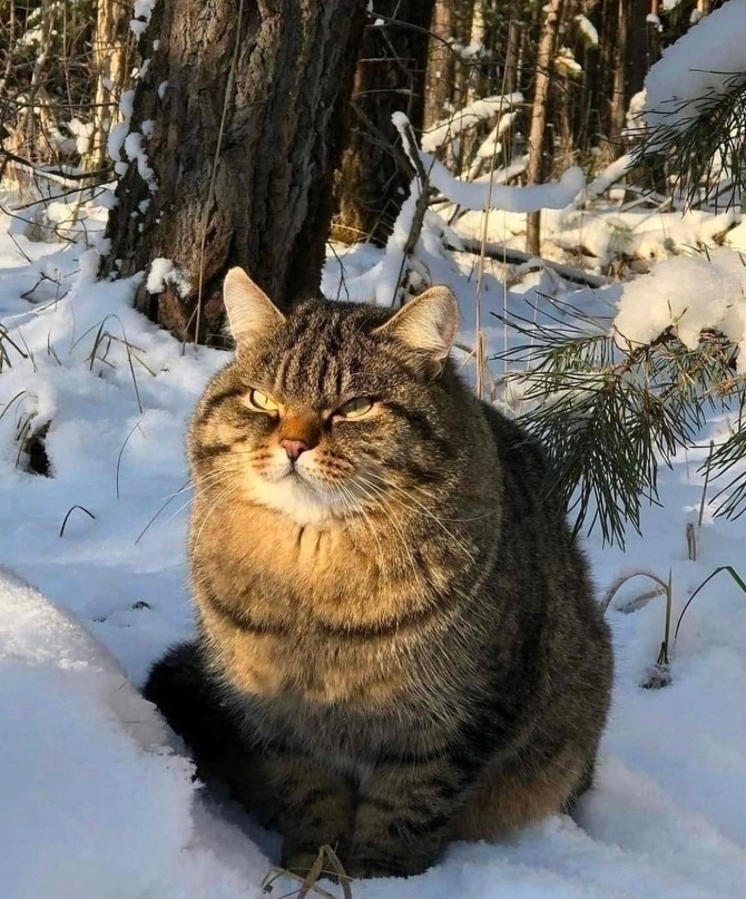 ������ ������! � ����� ���, �����! �� ��������!