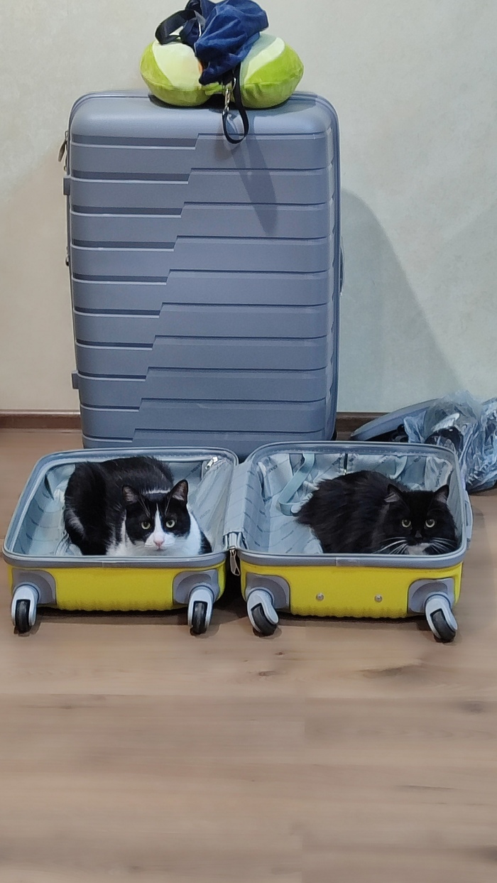 ������������ ������