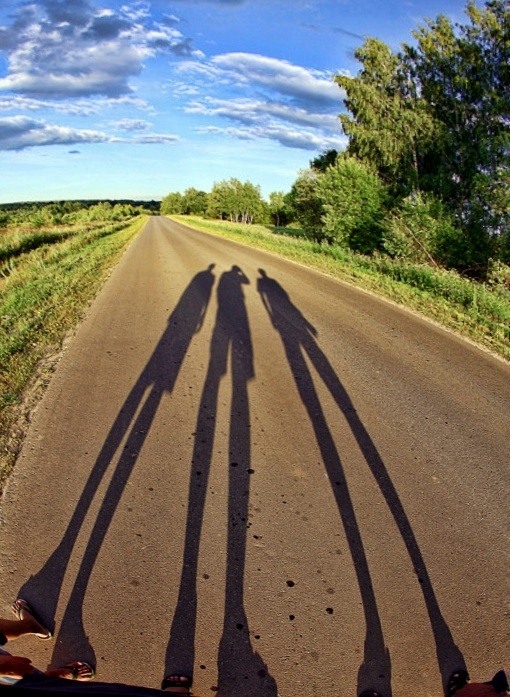 ������� ���� 2015 ����