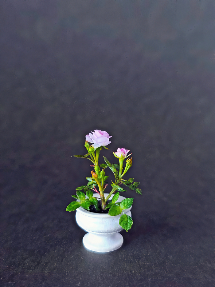 ����� �� ���� ������������ ���� "�������"�