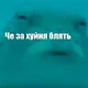 ������ ������������ AppropriateFish