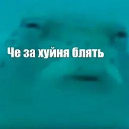 AppropriateFish