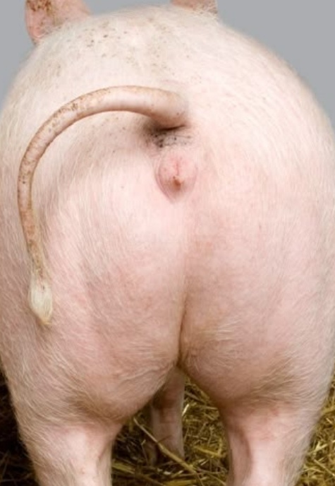 ������� ������� � �������, ����� �� �� ����� ������������������, �� ����� �� ������, ���� ��������. (���� �� ���������)