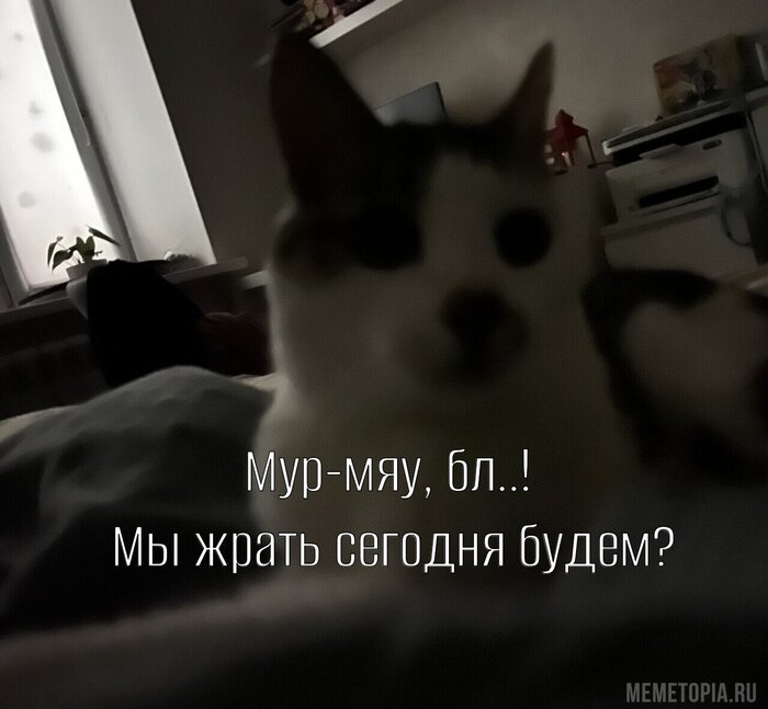 Каждое утро после пробуждения