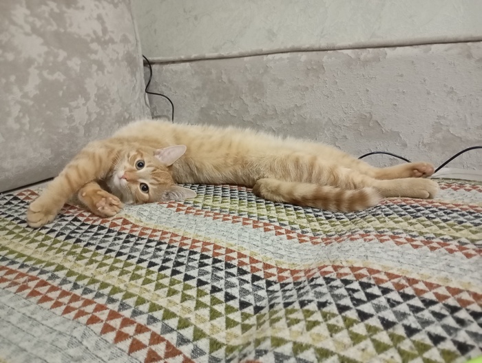 �������� ���������� ���������������� �������. 