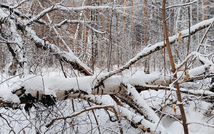 �������������