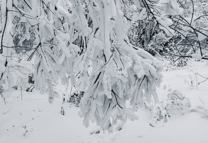 �������� �����