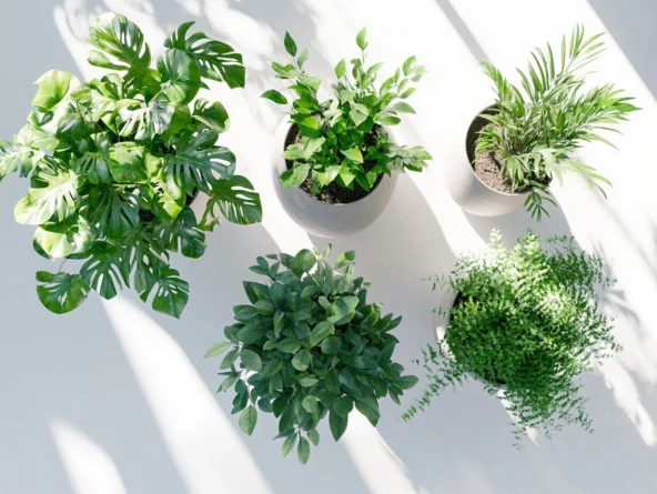 ������ ������� ����� �� ��������� ���������� ����� ChatGPT 4.1 �� ����