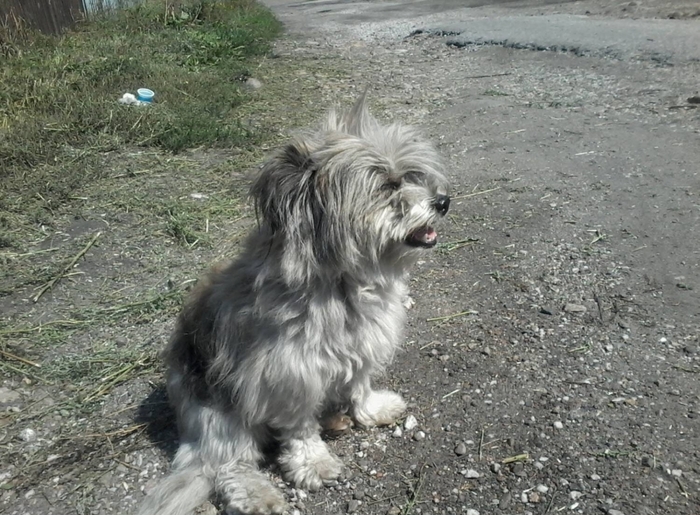 ���� ��� ������ �� ������ "�����", ������� ���� �� ���������