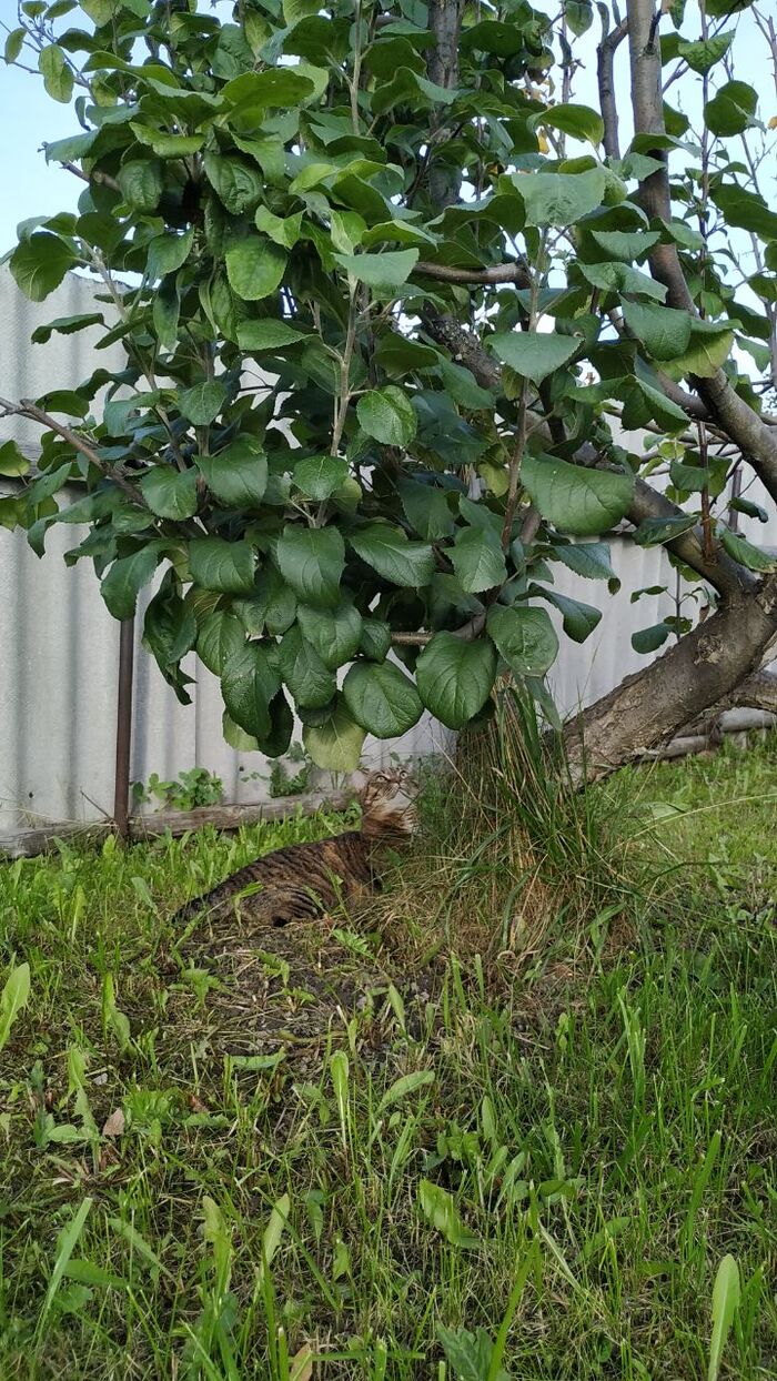 Ну что за красотка (7 сентября 2024)