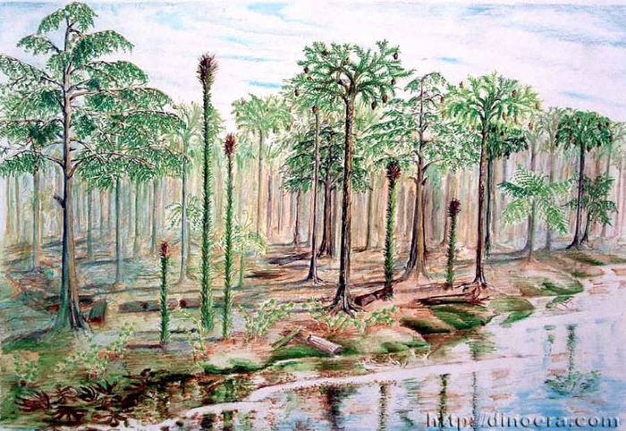 Как выглядели предки современных деревьев.