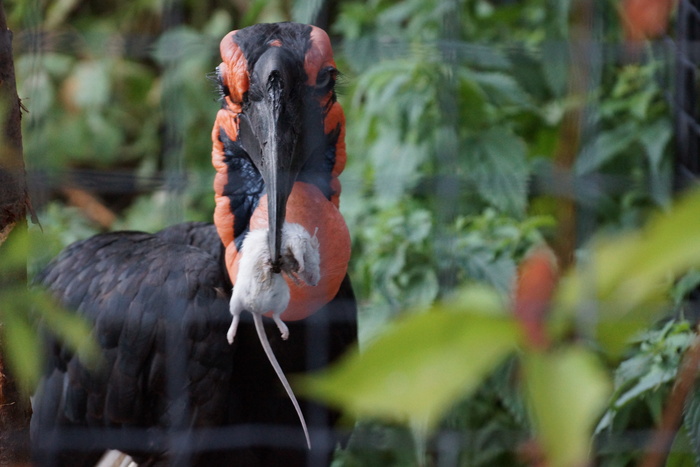 �������� ������� ����� // ������� // ������