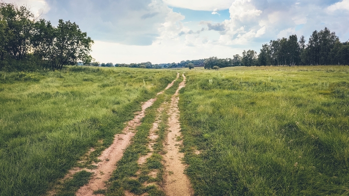 Летнее, июльское