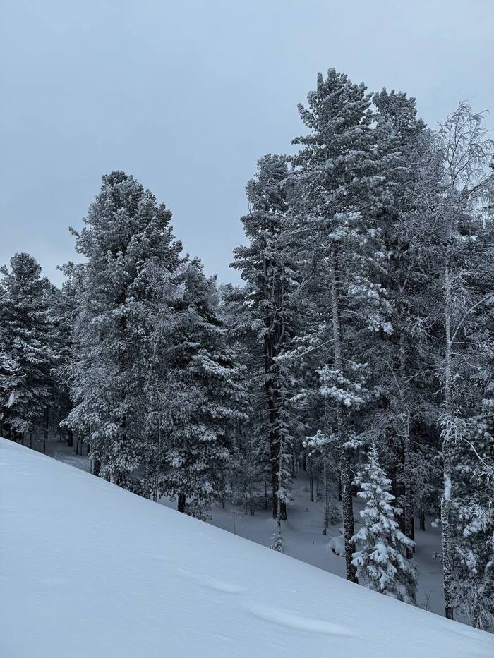 ������ �� ���� �� �����