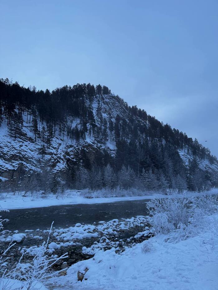 ��� �� �����