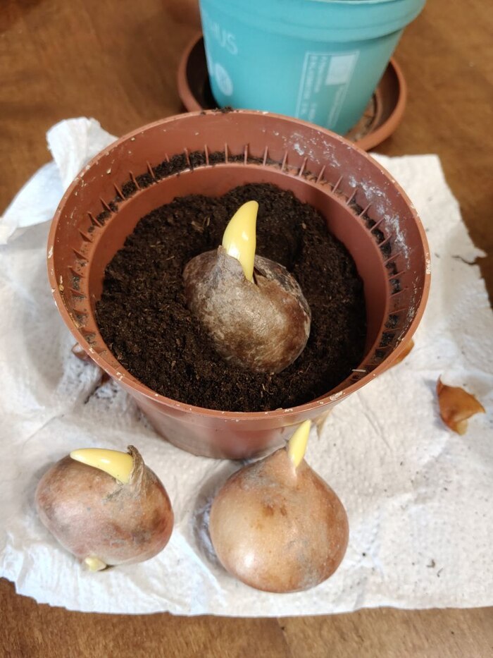 ��� �������� ������ �������� � ������ � ����� � ������������