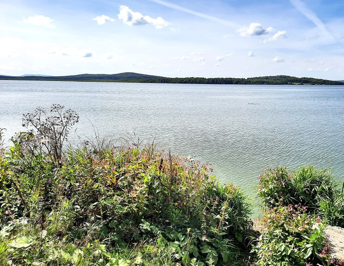 Кушвинский пруд. 2025 г.