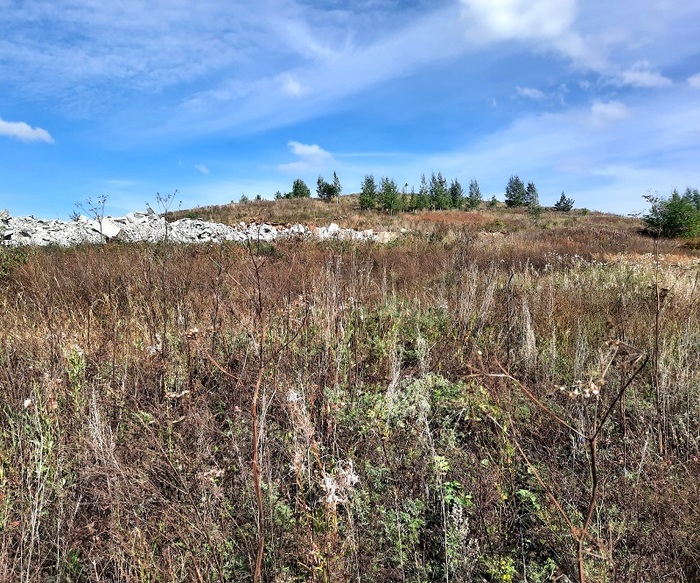 Тарховая гора. 2025 г.