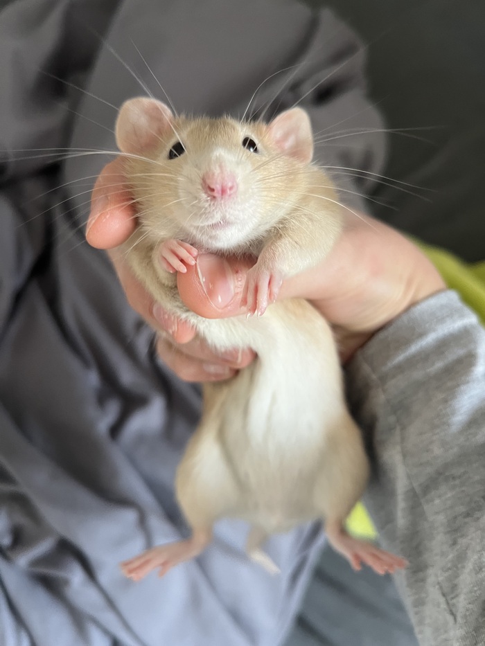 ����� ����� ����� � ������ ������