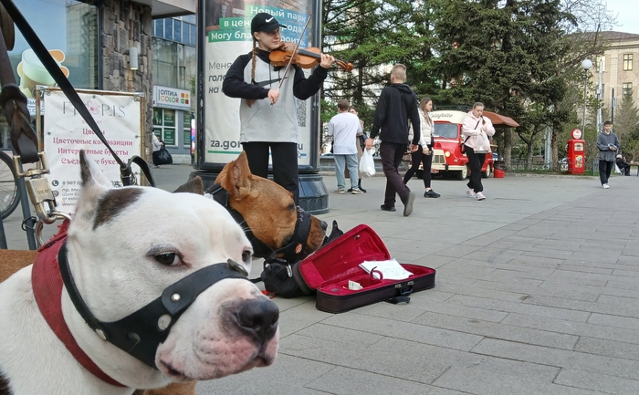 В центре большого города