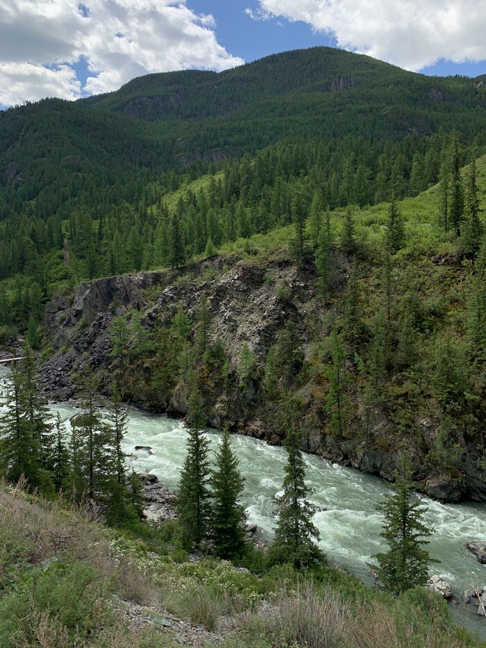 ���� ���