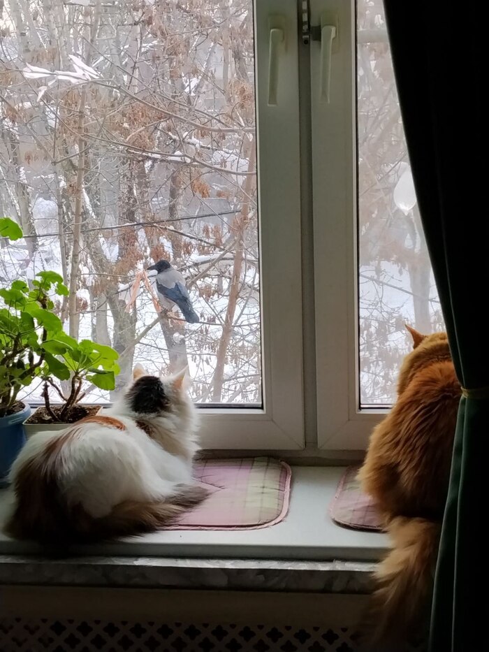 ������� �� ���������� �������