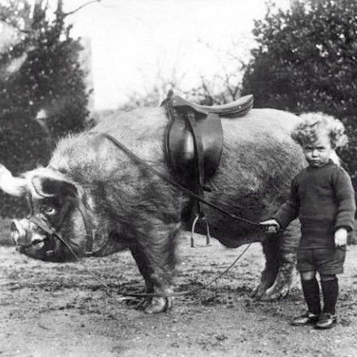 Суровое детство Даина Железностопа...