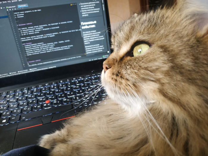 ������, ��� ������� ��������� �������� ���. ��� ��� ��� ��������� �������� ����� ������� ������ ������������.