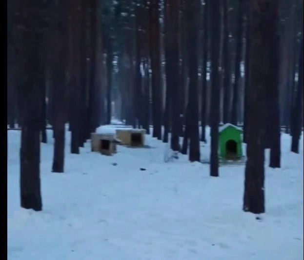 � ������ 2024-�� � ������� ������������ ��������� ����� ��� ��������� ���� �������� �� ������ � ����� � ������. ���������, ����� � ���������� �����. ��������: ����-���� � ����� ���� � ���� ������� / <!--noindex--><a href="https://pikabu.ru/story/zhalko_brodyachikh_sobak_zhaleyte_ikh_u_sebya_doma_v_chernozeme_chinovniki_posovetovali_zoozashchitnikam_zabrat_bezdomnyikh_psov_s_ulitsyi_13638195?u=http%3A%2F%2Ft.me%2Fmtv36&t=t.me%2Fmtv36&h=2ac376421393d6b1c2eb7b7071c90cb105ab7d18" title="http://t.me/mtv36" target="_blank" rel="nofollow noopener">t.me/mtv36</a><!--/noindex-->